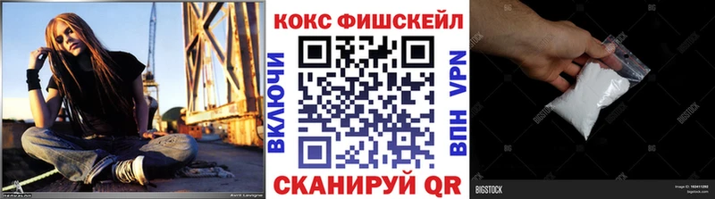Купить где  Змеиногорск  Cocaine FishScale 