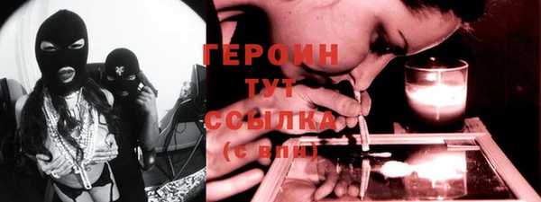 соль ск Ельня
