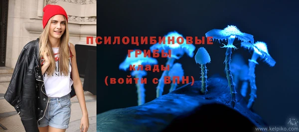 твердый Елизово