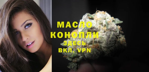 соль ск Ельня