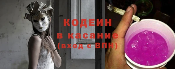 соль ск Ельня