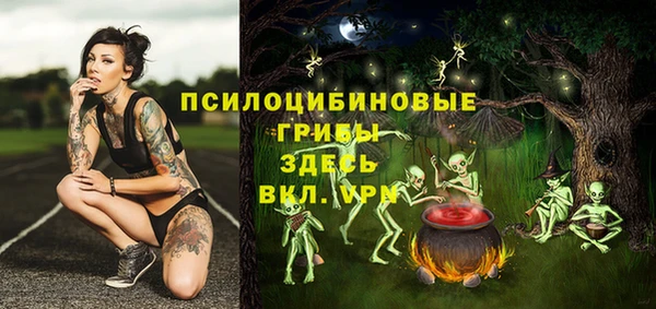 соль ск Ельня