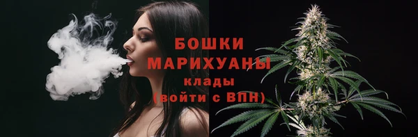 твердый Елизово