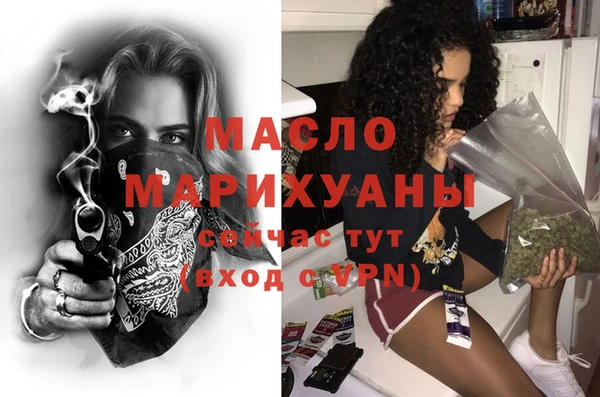 соль ск Ельня