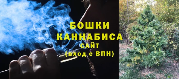 твердый Елизово