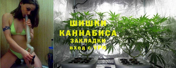 соль ск Ельня