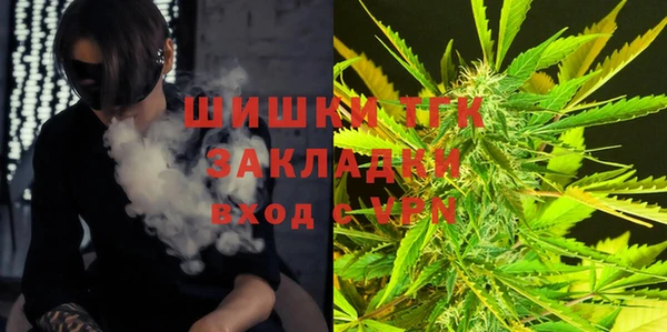 соль ск Ельня