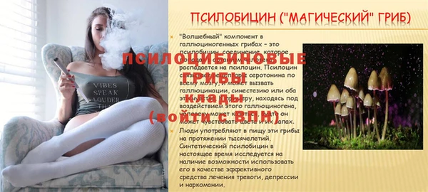 твердый Елизово