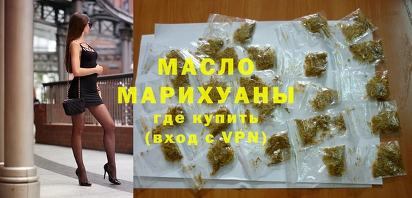 соль ск Ельня