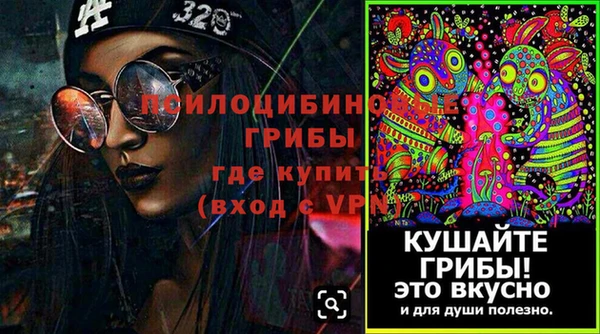 соль ск Ельня